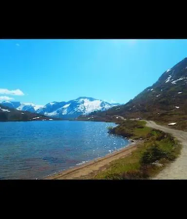 公寓 Seaside In Stranda, Close To Geiranger *