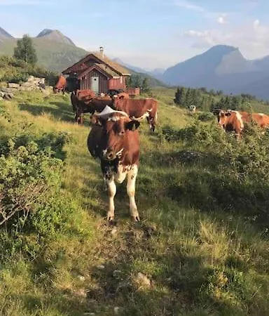 Seaside In Stranda, Close To Geiranger